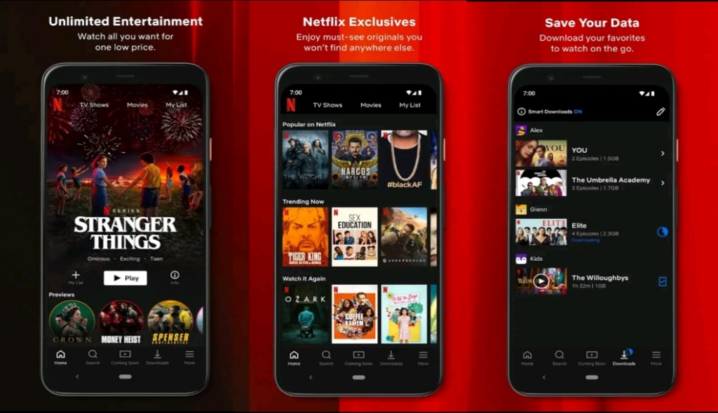 Netflix Mod APK